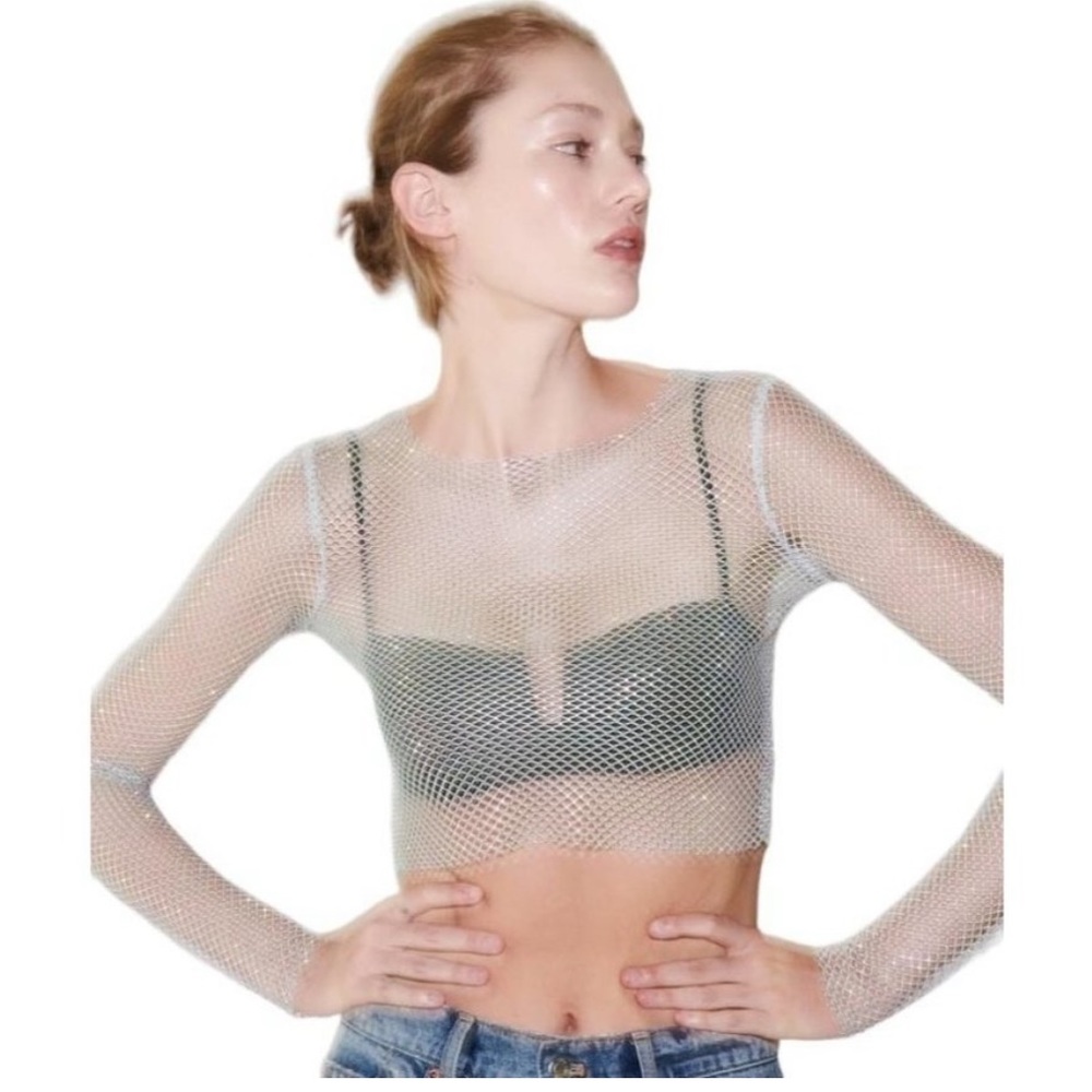 Zara Shimmer Mesh Crop Top NWT